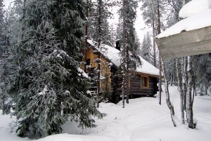 Cottage in Winter